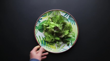 Canvas Print - choice of salad plate as an alternative to meat on a black background to use as an example for a concept