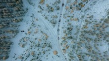 Aerial Drone Shot Of Tourist Group In Husky Ride In Lapland Rovaniemi Finland Birds Eye View