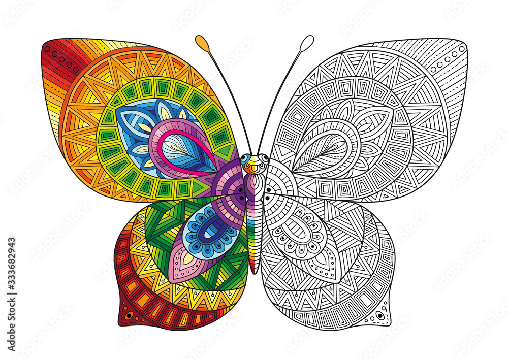 Vector black and white image of a butterfly on white background. Hand ...