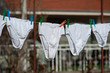 © Zoran - Underpants. Identical white underpants hung on the garden after the laundry. Same underwear dry outdoor.