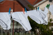 © Zoran - Underpants. Identical white underpants hung on the garden after the laundry. Same underwear dry outdoor.