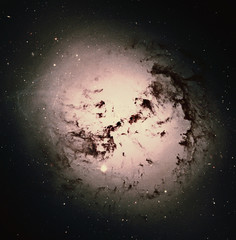 Wall Mural - star clusters of giant elliptical galaxy ngc 1316. elements of this image furnished by nasa.