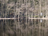 Fototapeta Na ścianę - reflections in the lake