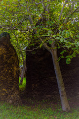 Wall Mural - Stunning landscape in the Cabarceno nature park. Cantabria. Northern coast of Spain