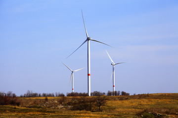 wind farms in the field