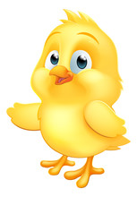 A Cute Chicken Chick Yellow Baby Bird Cartoon Mascot Illustration Pointing With Its Wing
