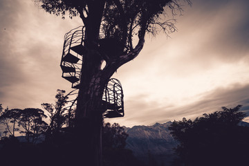 silhouette of a tree house