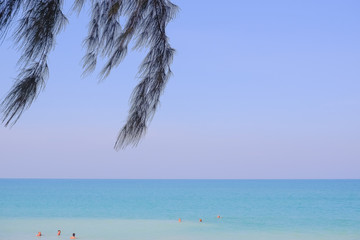 Tropical beach with beautiful trees on the sand and sun in blue sky. Summer nature scene.Beautiful seascape with white sand on the beach and blue water on the sea. Travel concept