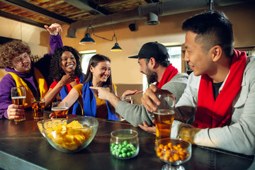 Wall Mural - Sport fans cheering at bar, pub and drinking beer while championship, competition is going. Multiethnic group of friends excited watching translation. Human emotions, expression, supporting concept.