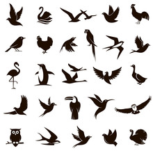 Collection Of Various Black Bird Icons Isolated On White Background