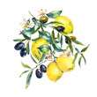 Watercolor lemon and olive branches greeting card
