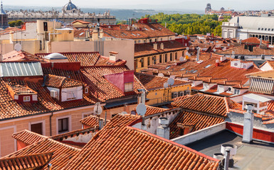 Wall Mural - Typical Madrid Rooftops in Spain