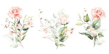Watercolor Floral Illustration Set - Flower And Green Gold Leaf Branches Bouquets Collection, For Wedding Stationary, Greetings, Wallpapers, Fashion, Background. Eucalyptus, Olive, Green Leaves, Etc.