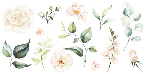 Wall Mural - Watercolour floral illustration set. DIY flower, green leaves elements collection - for bouquets, wreaths, arrangements, wedding invitations, anniversary, birthday, postcards, greetings, cards, logo.
