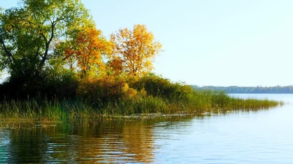 Wall Mural - Autumn colors in the trees are reflected in the calm Mississippi River in Bemidji, Minnesota from the pov of a moving boat in evening sun.