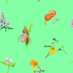 Poster - Different wildflowers. Seamless pattern.