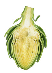 Poster - artichoke