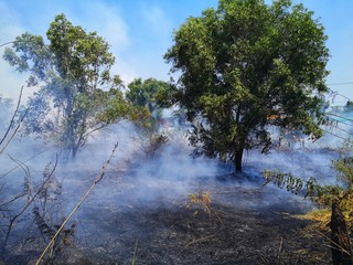 Abstract., Dirty smoke floated covering the burning area.