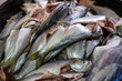 Close up group of fish arrangement on tray .Fresh horse mackerel 