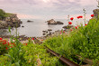 Beautiful sunset on a rocky shore among the flowering herbs of the Mediterranean