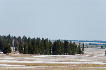 Poster - snow melting in the field in spring