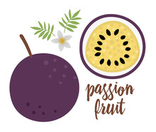Vector Passion Fruit Clip Art. Jungle Fruit Illustration. Hand Drawn Flat Exotic Plants Isolated On White Background. Bright Childish Healthy Tropical Summer Food Illustration..