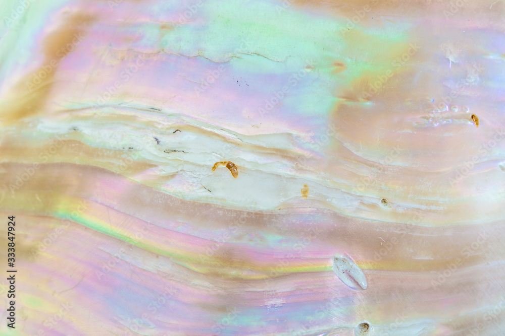 Mother of pearl sea shell close up background Stock Photo | Adobe Stock