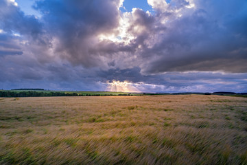 Canvas Print - Orage