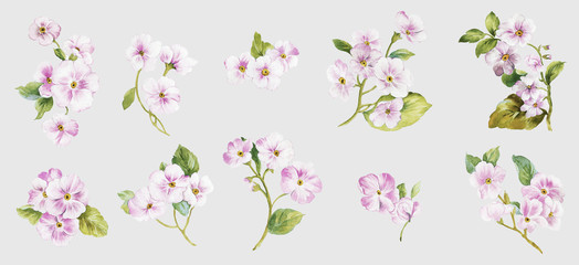 flowers watercolor illustration.manual composition.big set watercolor elements.