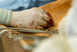 The surgeon rests his right hand in a glove with traces of blood on the table with surgical instruments. close-up of a hand.