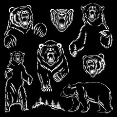 Canvas Print - Set of vector images of bears. Bears are furious. Design elements for prints.