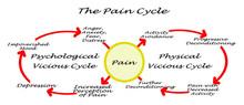 Pain Cycle: Physiolgy And Psychology