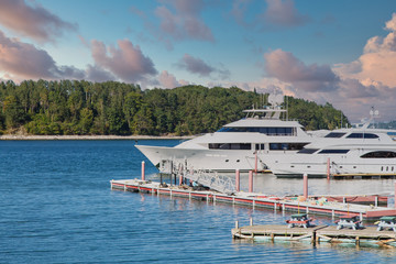 Wall Mural - Two white luxury yachts at a pier in a harbor in Maine