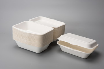 Biodegradable environmental disposable fast food box, in the gray background