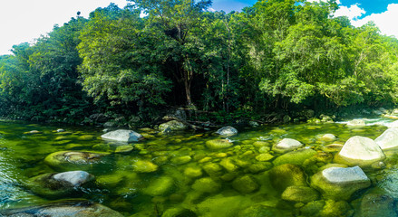 Wall Mural - Mossman Gorge - river in Daintree National Park, north Queensland, Australia