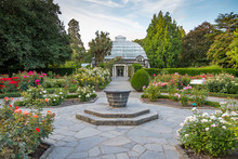 Christchurch, New Zealand - Feb 11, 2020: The Beautiful Rose Garden With Cuningham, Townend And Garrick House At Botanic Gardens Conservatory.
