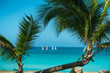 Strand auf Kuba mit Segelbooten und Palmen