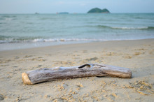 Fallen Log On Sand Beach With Island On Background