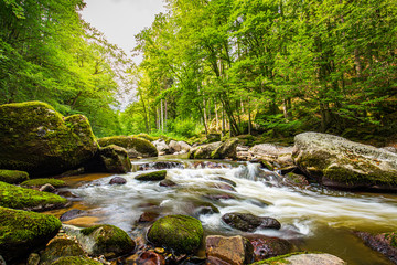 Beautiful river deep in the forest, sunny spring summer weather. Nature landscape, rocks and flowing water stream. Tranquil natural environment