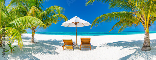 Fotomural Tropical beach background as summer landscape with lounge chairs and palm trees