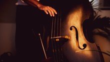 Closeup Shot Of A Man Playing A Double Bass With A Soft Light