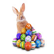 © SPJE_ART - Curious, cute and funny Easter Bunny or Easter Rabbit peeking behind a pile of painted decorated or ornate Easter Eggs for Easter Egg Hunt Game isolated white background, cut out or cutout