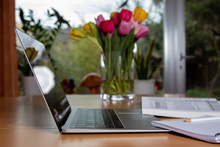 Home Office, Laptop, Book, Paper, Pen, Flowers, Tulips On A Table At Home