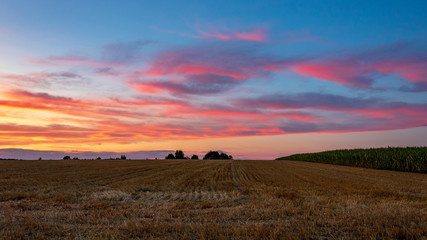 agricultural landscape with sunset sky and pink clouds in summer in Möckmühl, Germany.