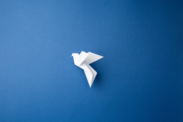 Paper pigeon on a blue isolated background.