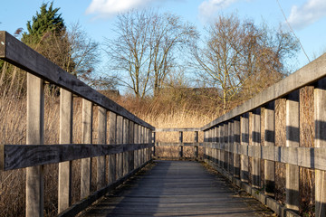 Poster - Une passerelle en bois dans les marais