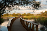 Fototapeta Pomosty - Itinerario en el Parque Nacional de las Tablas de Daimiel.