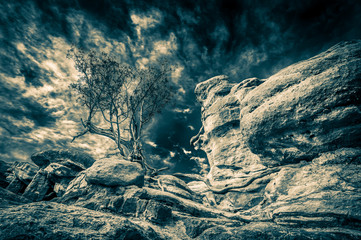 Rocks and Sky