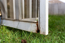 Close-up Of Rotten Wood On Exterior Screen Door Of A Porch