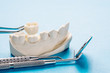 Closeup / Prosthodontics or Prosthetic / Single teeth crown and bridge equipment and model express fix restoration.